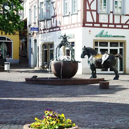 Apartmán 2 Wohnung, Kueche, Bad, Balkon, Netflix Alzey