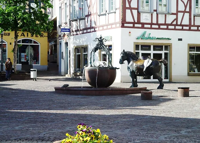 Apartment 2 Wohnung, Kueche, Bad, Balkon, Netflix Alzey